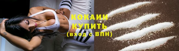 PSILOCYBIN Кодинск