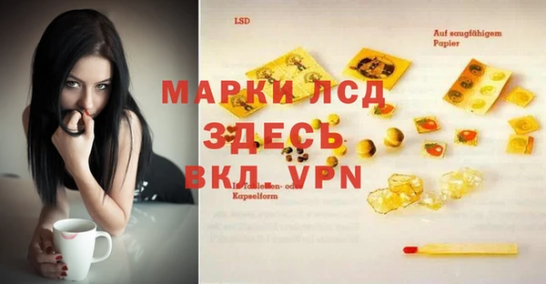 PSILOCYBIN Кодинск