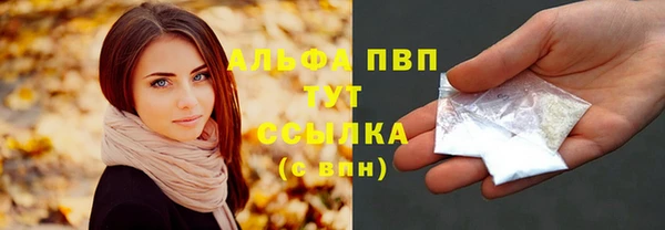прущие грибы Козловка