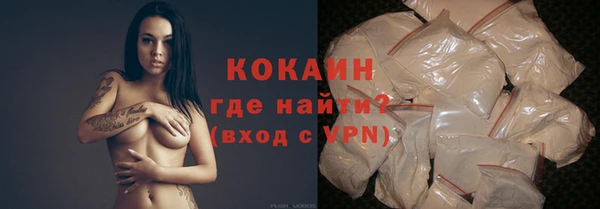 PSILOCYBIN Кодинск