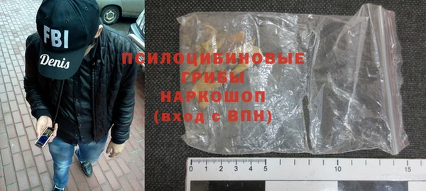 PSILOCYBIN Кодинск