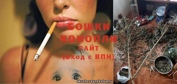 прущие грибы Козловка