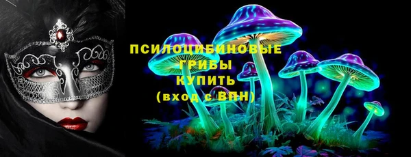 прущие грибы Козловка