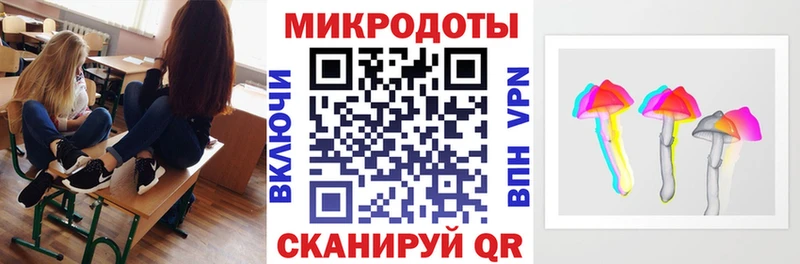 Купить где  Гаджиево  Галлюциногенные грибы Magic Shrooms 